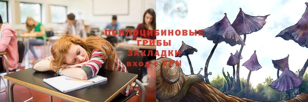 стафф Алексин