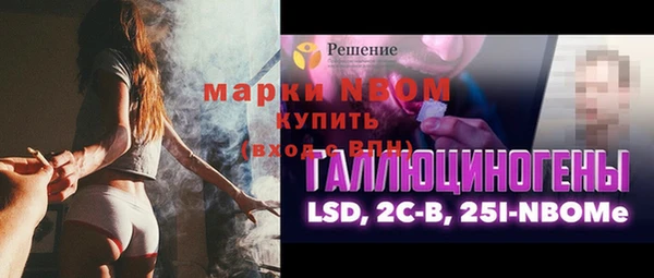 стафф Алексин