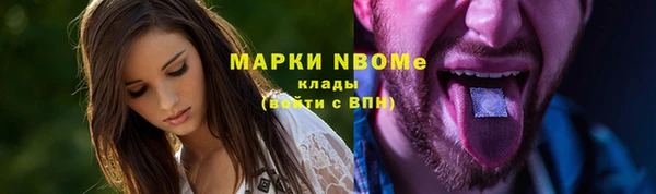 стафф Алексин