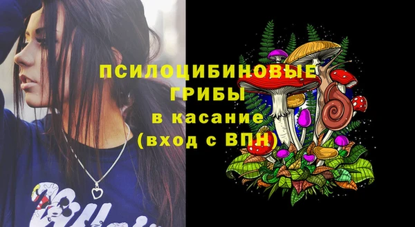 ешки Алзамай