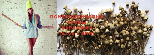 ешки Алзамай