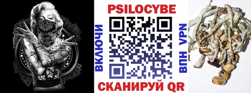 закладки ссылка на мегу tor Псилоцибиновые грибы Magic Shrooms Апрелевка
